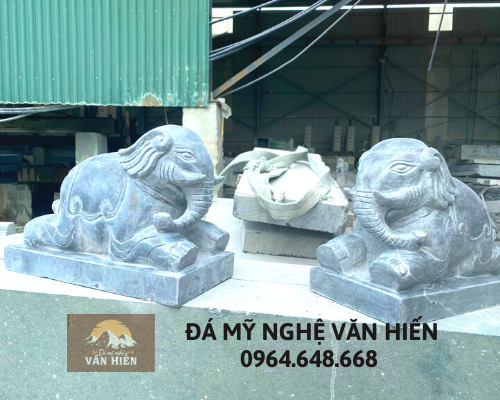 Con giống đá - CGD 002