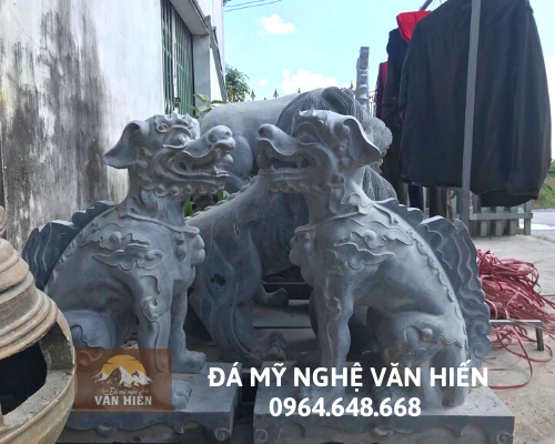 Con giống đá - CGD 021