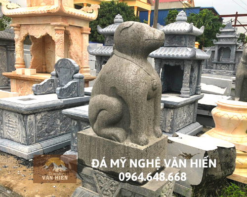 Con giống đá - CGD 022