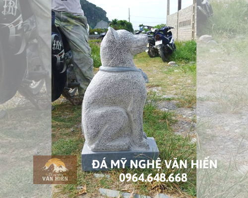 Con giống đá - CGD 024